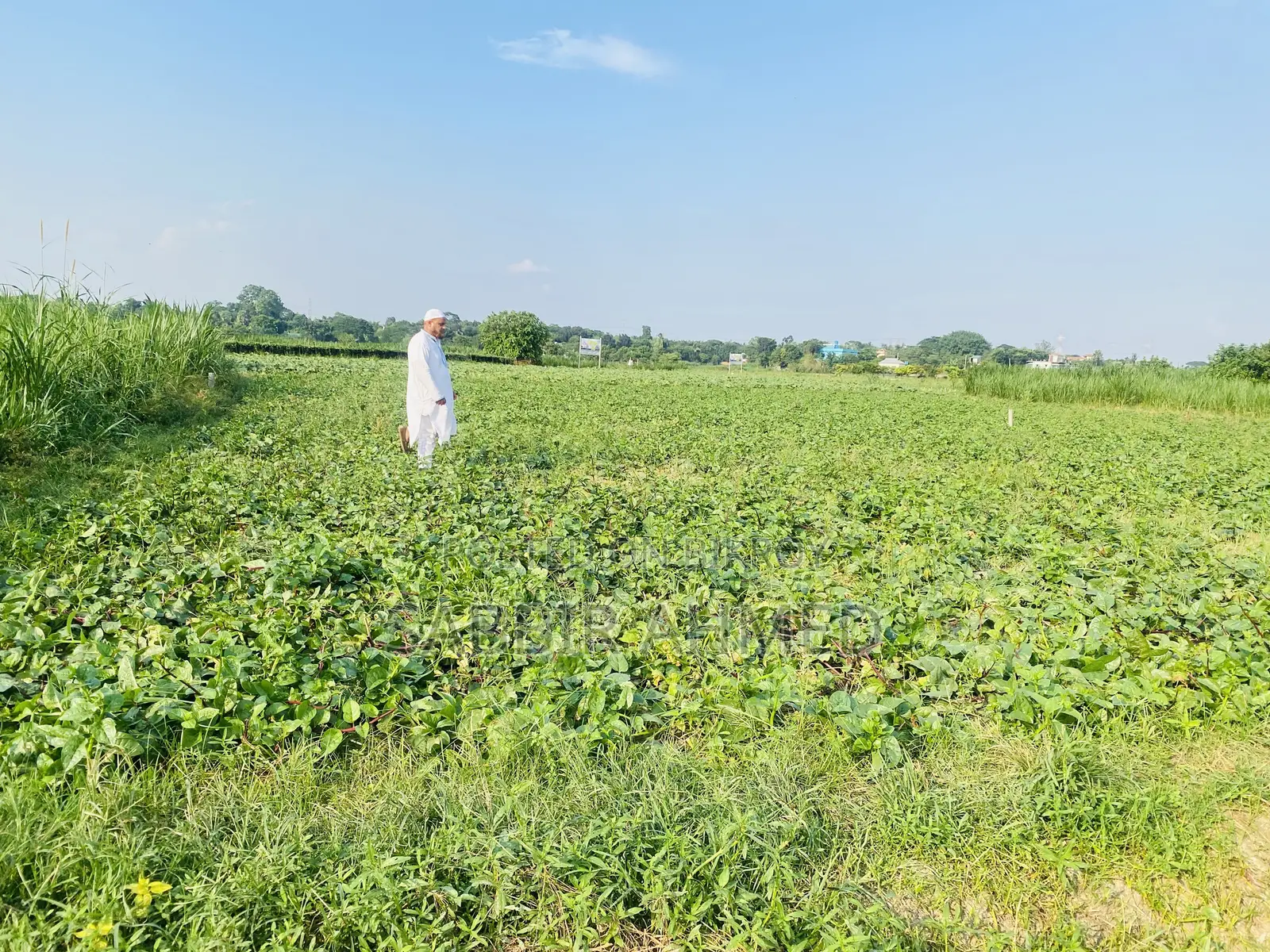10 decimals of land for sale 30 minutes away from Dhaka