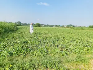 10 decimals of land for sale 30 minutes away from Dhaka