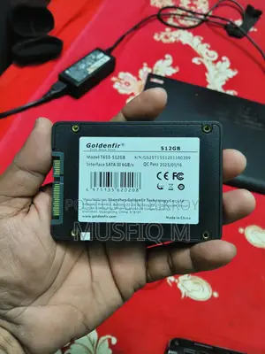 Goldenfir 512GB SSD