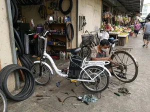 Electric Cycle