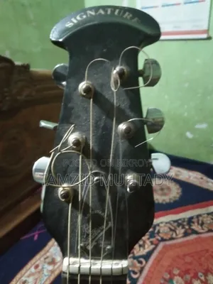 সিগনেচার মডেল ৪৬৫ গিটার