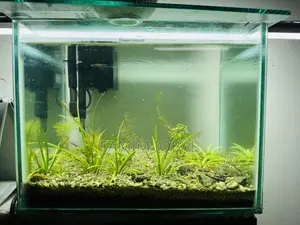 Planted Aquarium Full Setup With Filter