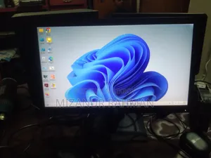 HP 19" Monitor