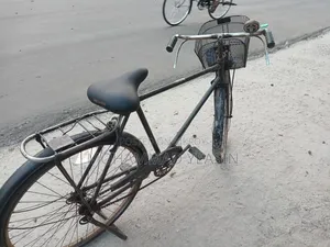 Phoenix Bicycle