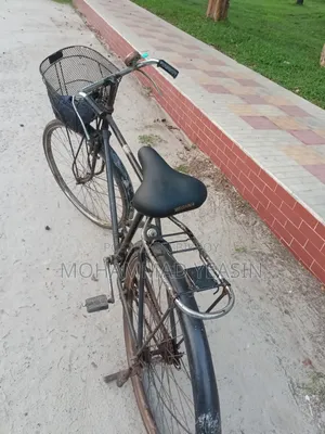 Phoenix Bicycle