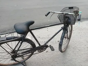 Phoenix Bicycle