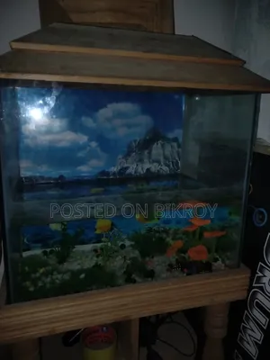 একুরিয়াম টা ভালো