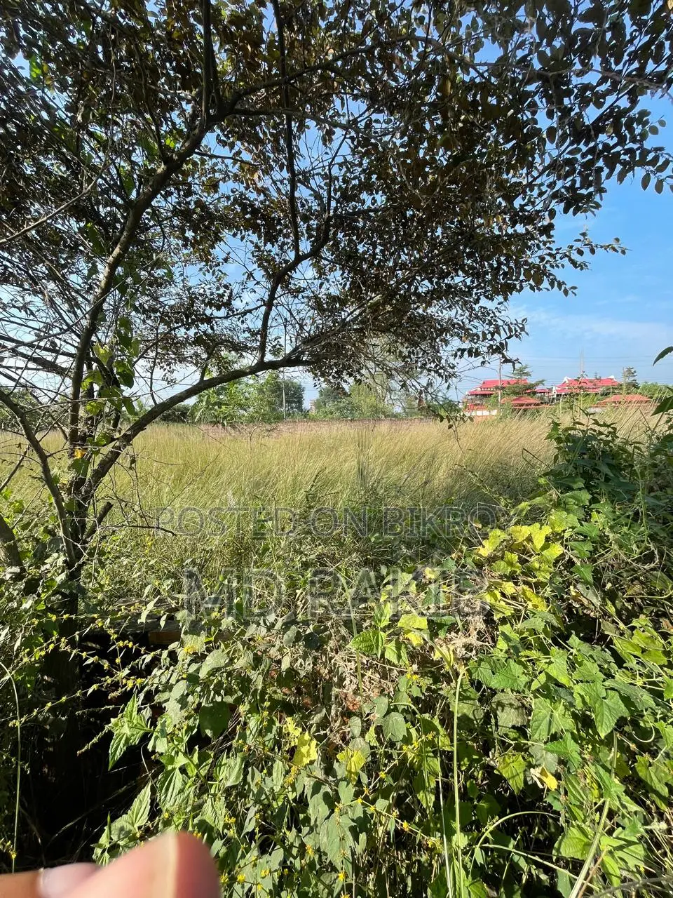 N Block, (5+5)=10 Katha Residential Land Sale Plot Bashundhara R/A