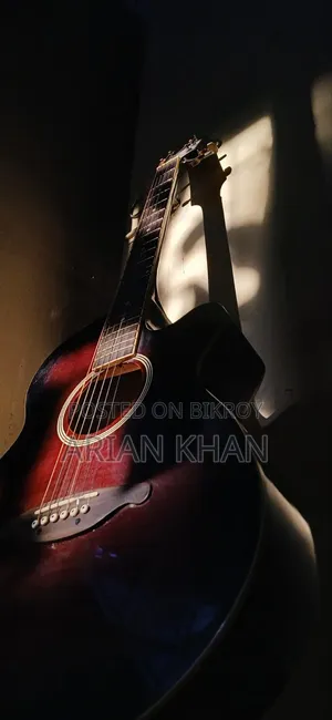 এসএক্স সেমি অ্যাকustic গিটার