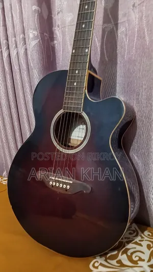 এসএক্স সেমি অ্যাকustic গিটার