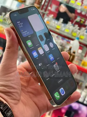 অ্যাপল আইফোন ১৩ প্রো ২৫৬ জিবি গোল্ড