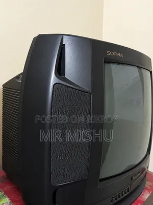 টেলিভিশন (টিভি)