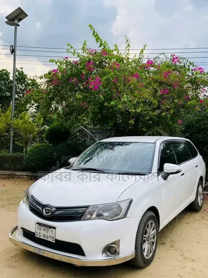 Toyota Corolla Fielder 2013 Pearl