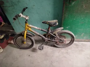 Kids Cycle