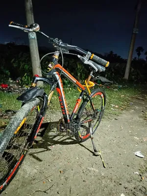 বাইসাইকেল