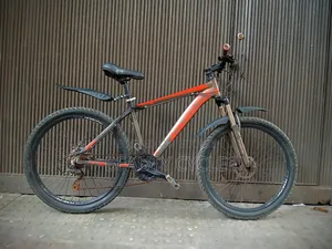 Phoenix 26-inch Gear, Brakes, Tires all -100% fine, fresh condition.