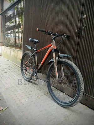 Phoenix 26-inch Gear, Brakes, Tires all -100% fine, fresh condition.