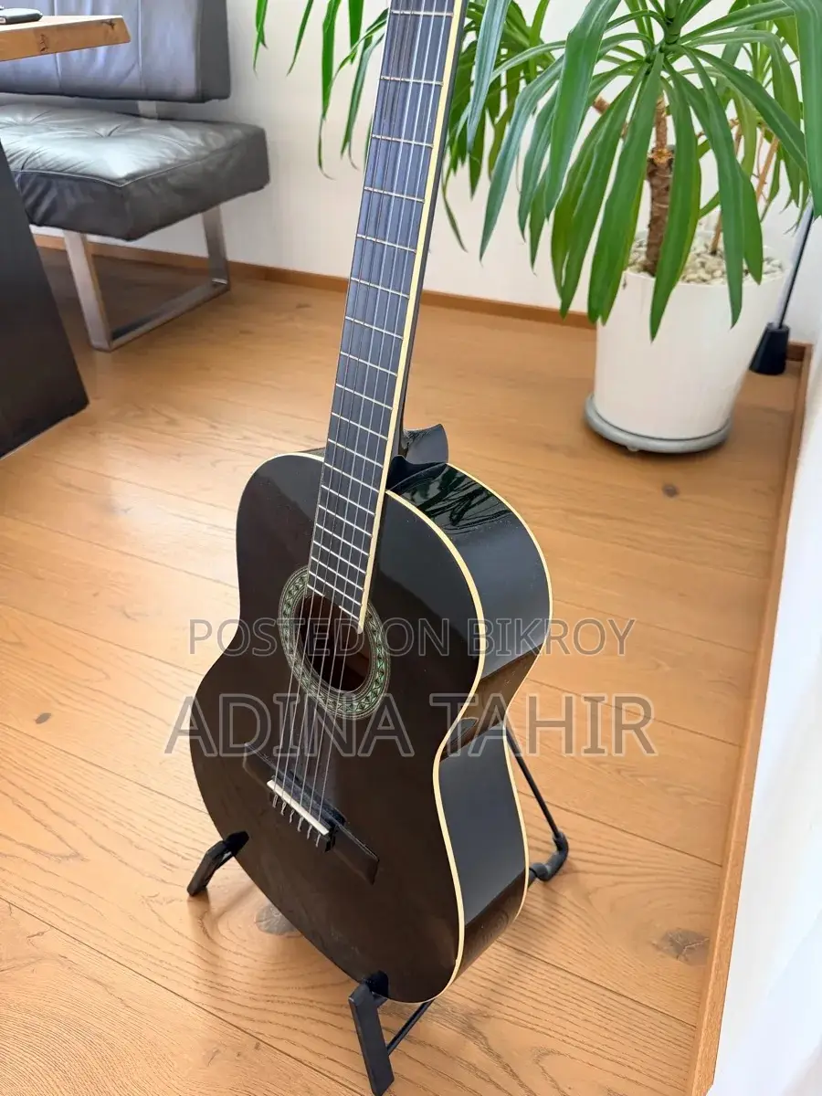 Guitar for Sale
