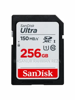 Sandisk 256 GB