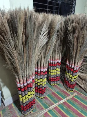 ফুল ঝাড়ু  ও শালার ঝাড়ু।