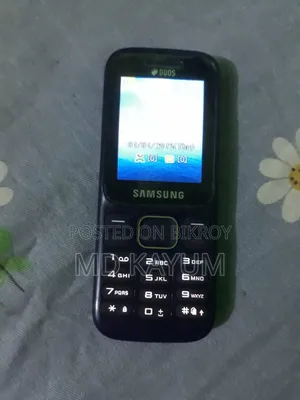 স্যামসাং গুরু মিউজিক ২ নীল