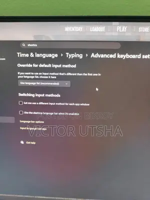 Hilvision 100 Hz Monitor