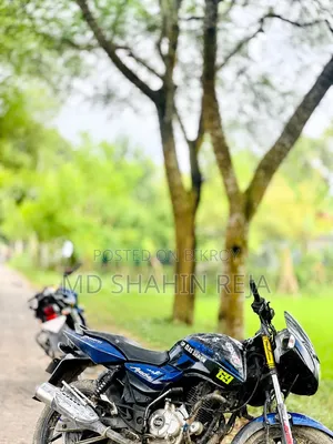 বাজাজ পালসার ১৫০ ২০১৫ নীল