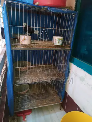 3 storey cage for sale