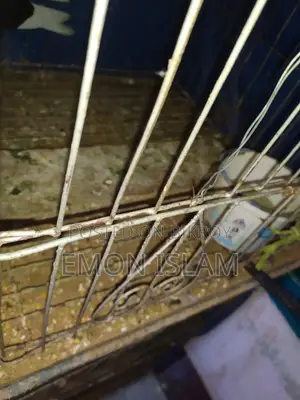৩ তলা খাচা বিক্রি হবে