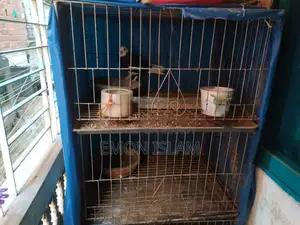 ৩ তলা খাচা বিক্রি হবে