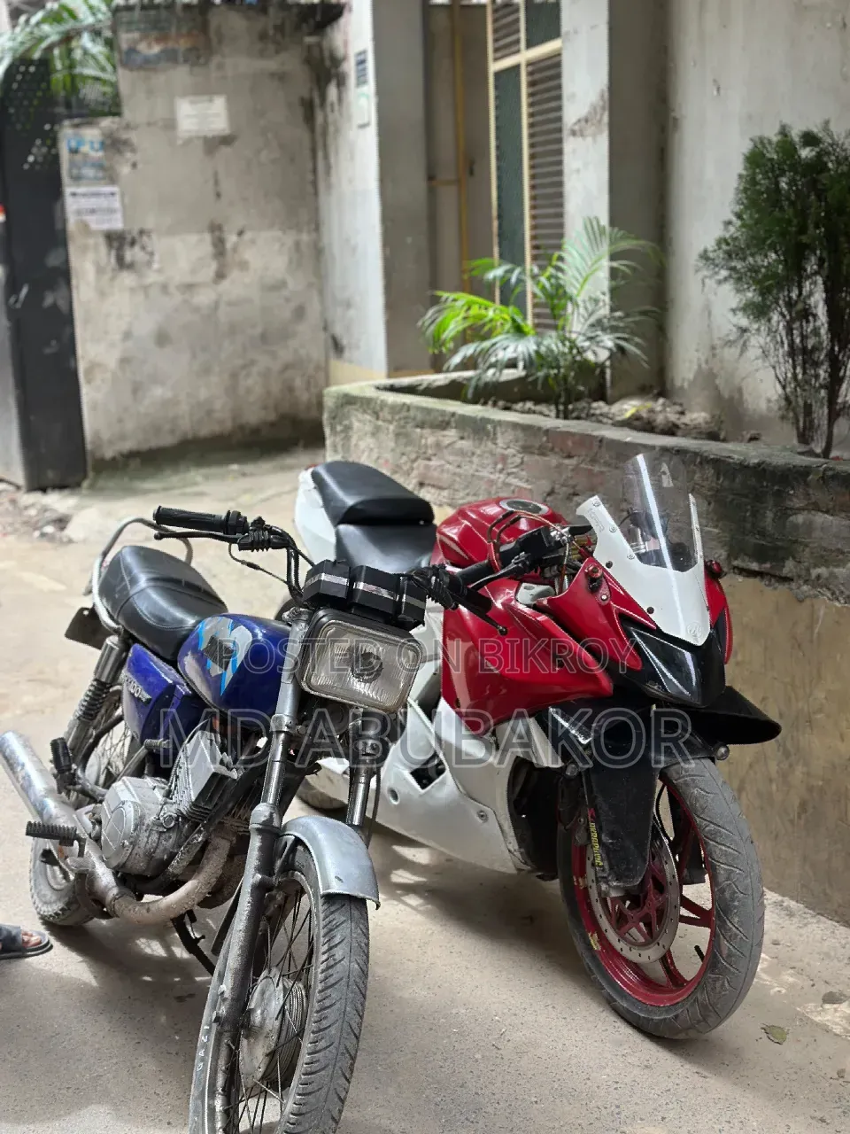 ইয়ামাহা ২০০৬ ব্রাউন
