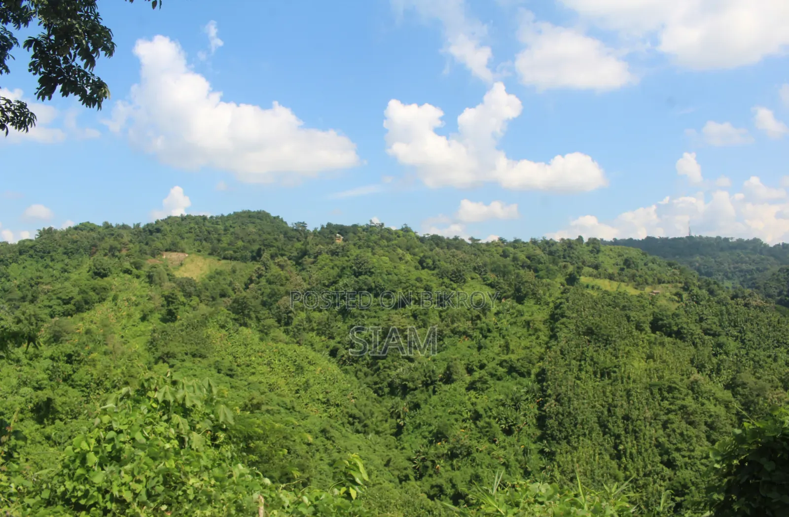 ক্যানন ১৩০০ডি