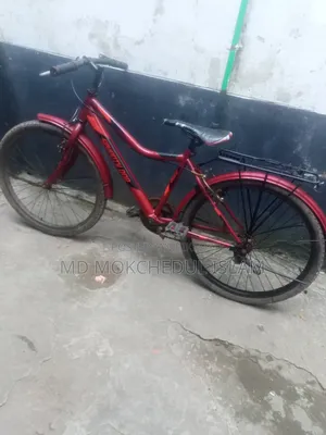 I will sell this bicycle