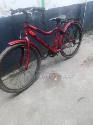I will sell this bicycle