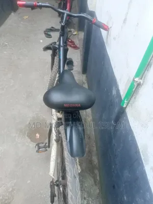 I will sell the bicycle