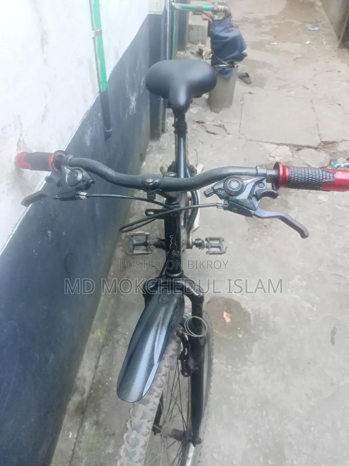 I will sell the bicycle