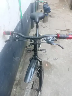 I will sell the bicycle