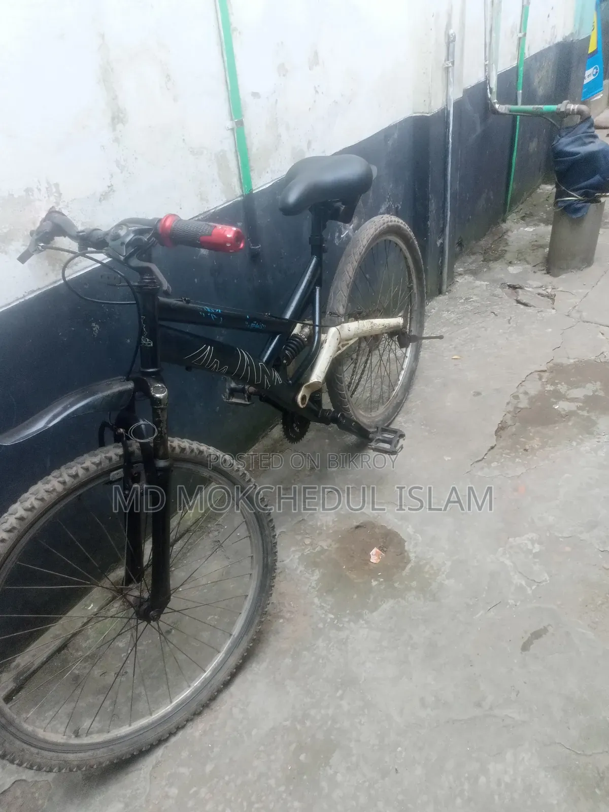 I will sell the bicycle