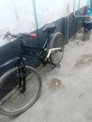 I will sell the bicycle