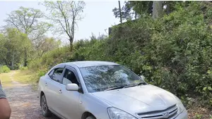 Toyota Allion 2005 Silver