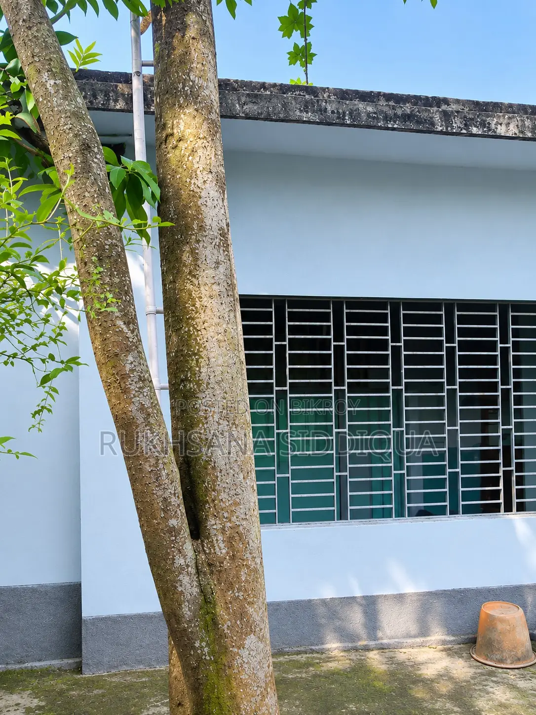 Brick-Built House with Land for Sale