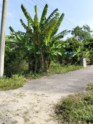 পূর্বাচল ৮ নং সেক্টরে ৩ কাঠা প্লট বিক্রি