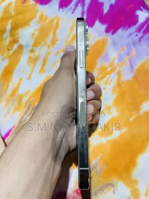 অ্যাপল আইফোন ১৩ প্রো ম্যাক্স ১২৮ জিবি রোজ গোল্ড
