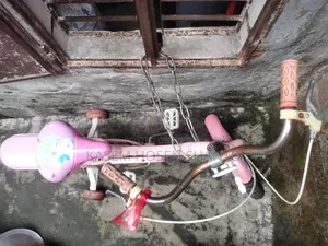 Kids Bicycle