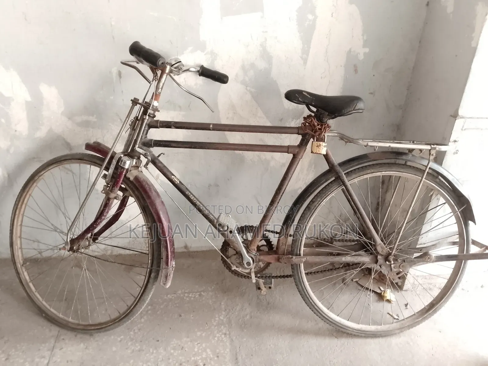 Phoenix Bicycle