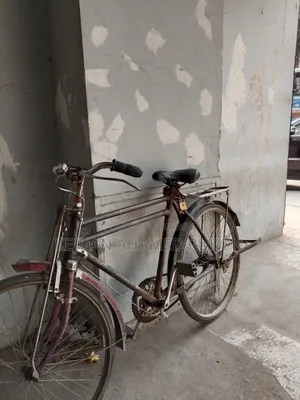 Phoenix Bicycle