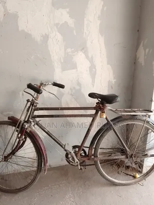Phoenix Bicycle
