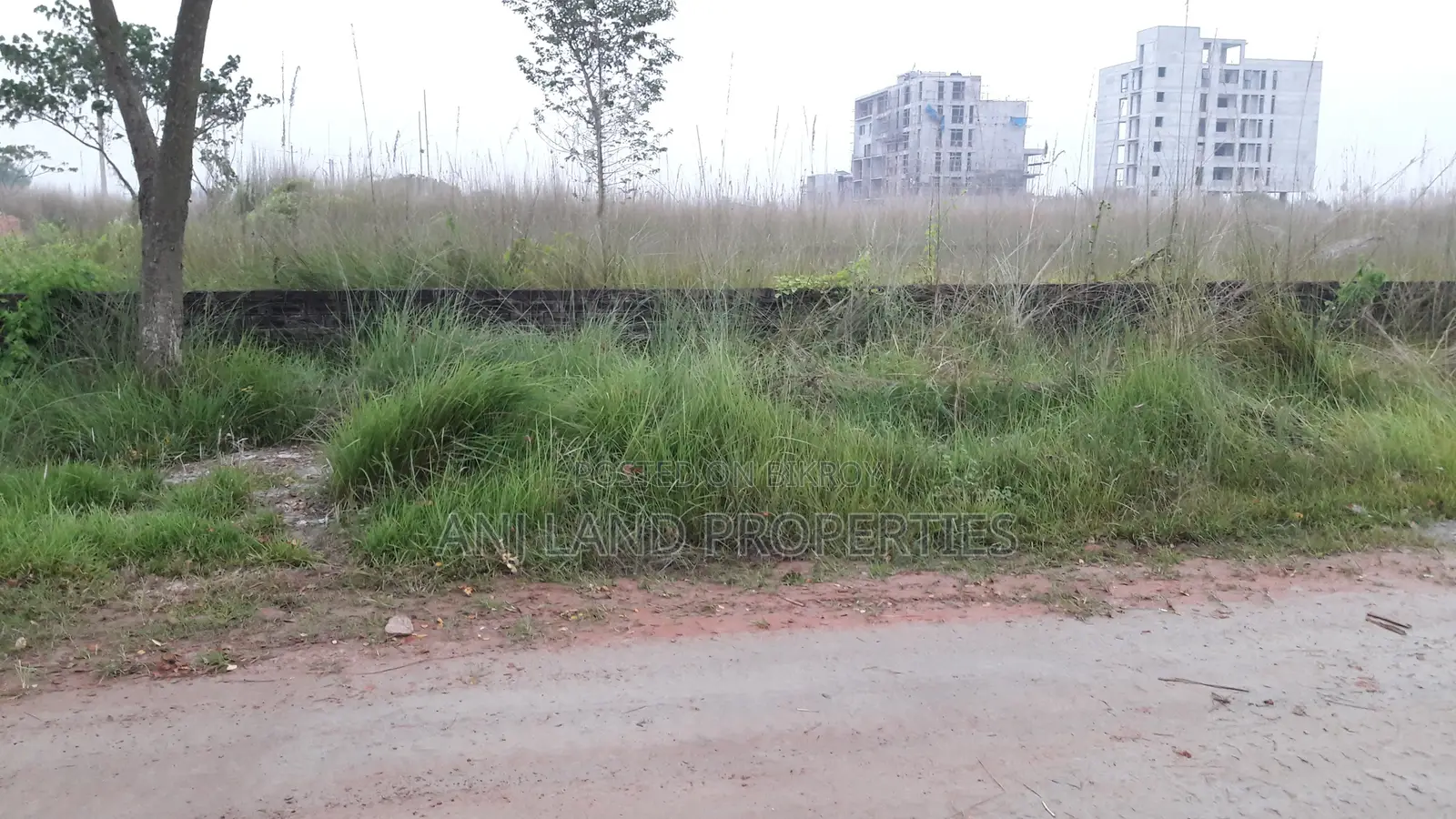 পি-ব্লকে দক্ষিণমুখী ৫-কাঠা প্লট বিক্রয় মালিক দেশে আছেন