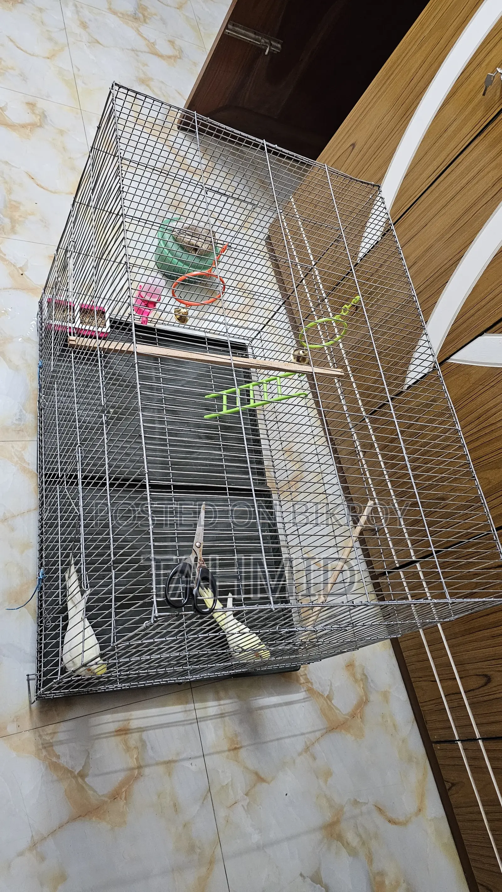 Bird Cage