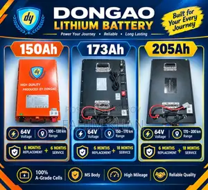 Dongao Lithium Battery 64V (150Ah, 173Ah, 205Ah) for Easy Bike